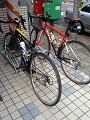 鄭賣口