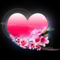 michelles_wen