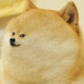 kelvinliang