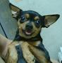 amymail177155