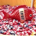 Iukan