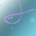 飛夢魚