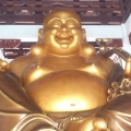 crt85648129