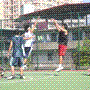 sgdyang