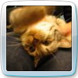 cutecat0506