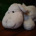 iambonnie