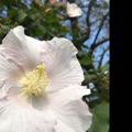 阿旻0319