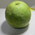 拔仔埔