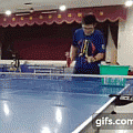 Amy把拔