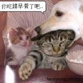 黃毛小丫頭