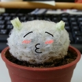 手作植物園