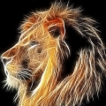 philip.pc