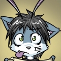 cjcat2266