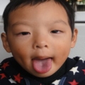 哈蜜瓜2010