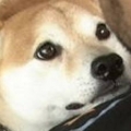 納褡啦