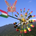tinnachu
