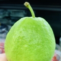 燕巢小開
