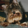 heryaw
