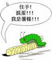 lacoste0012