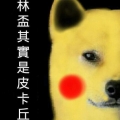 PIKA1454