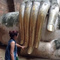 dharma4486