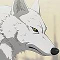Wolf Kiba