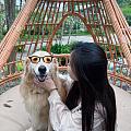 小密酥