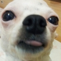 簡小姐