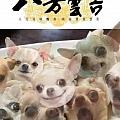 —卍 烈焰冥王坤坤 卍—