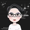 welsonic