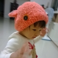 kelo