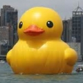 思盃秀