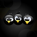 knpcboss
