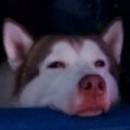 Thunderaan