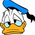 DonaldDuck999