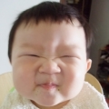 qoqocat
