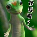 何碧玟