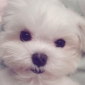 mighty_m