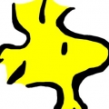 souldante