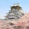 kenguo332
