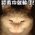 自由幻想