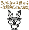 aniki1101
