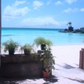 oceangal