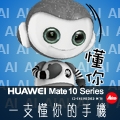 尋訪的躲貓貓