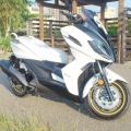 k-xct楊