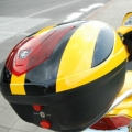 superfat_turtle