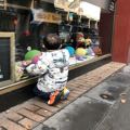 灰玫瑰