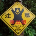 A-BEAR