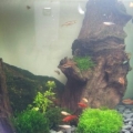 wu128e@yahoo.com.tw