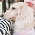 黃姿婷90